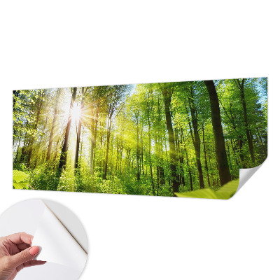 Stick-on wall mural with a forest light design