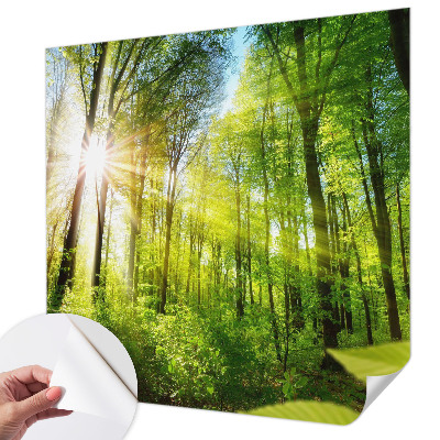 Stick-on wall mural with a forest light design