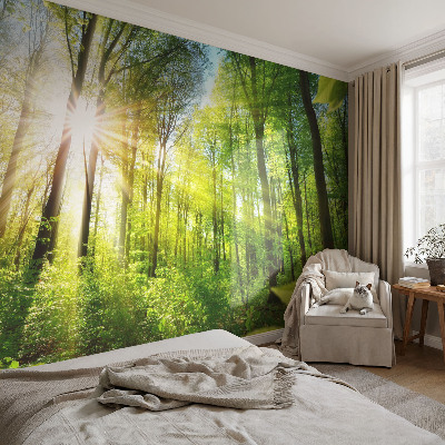 Stick-on wall mural with a forest light design