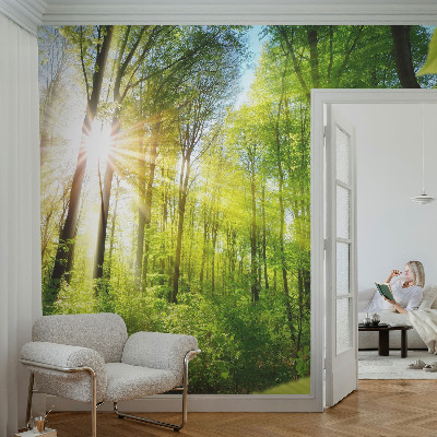 Stick-on wall mural Forest light