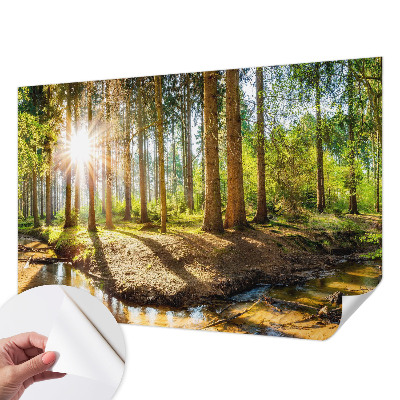 Removable wall mural wallpaper with a forest idyll design