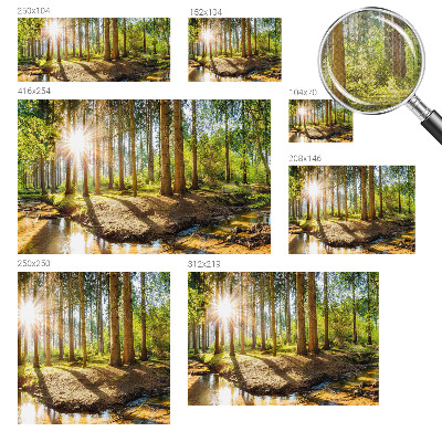 Removable wall mural wallpaper with a forest idyll design