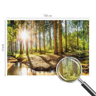 Removable wall mural wallpaper with a forest idyll design