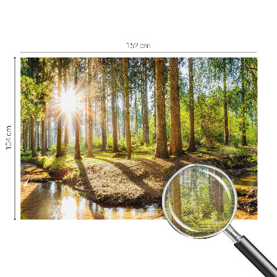 Removable wall mural wallpaper with a forest idyll design
