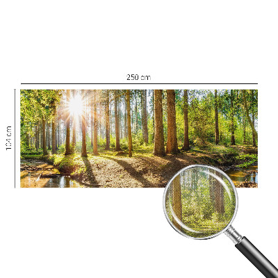 Removable wall mural wallpaper Forest idyll