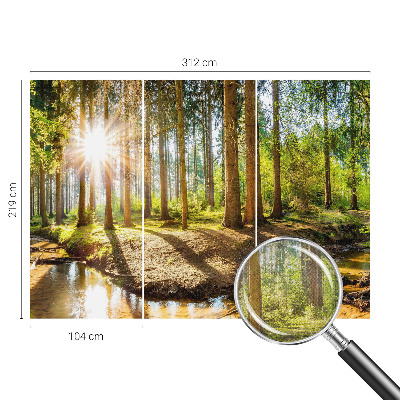 Removable wall mural wallpaper Forest idyll