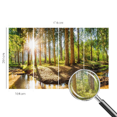 Removable wall mural wallpaper Forest idyll