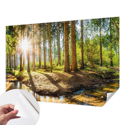 Removable wall mural wallpaper Forest idyll