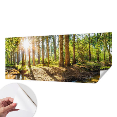 Removable wall mural wallpaper with a forest idyll design