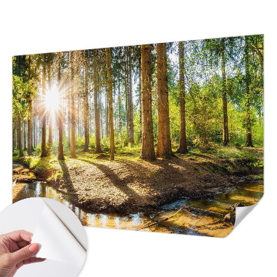 Removable wall mural wallpaper Forest idyll