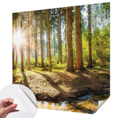 Removable wall mural wallpaper with a forest idyll design