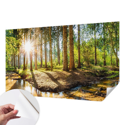 Removable wall mural wallpaper Forest idyll