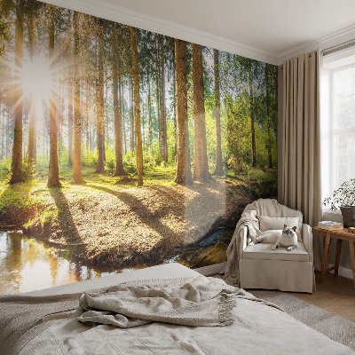 Removable wall mural wallpaper with a forest idyll design
