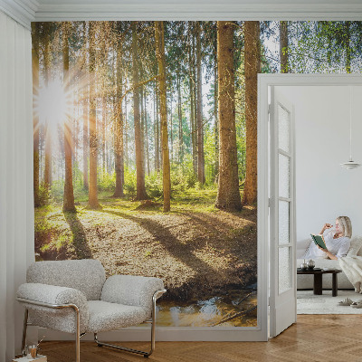 Removable wall mural wallpaper with a forest idyll design