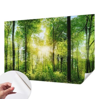 Peel and stick wall mural for kids' room Forest harmony