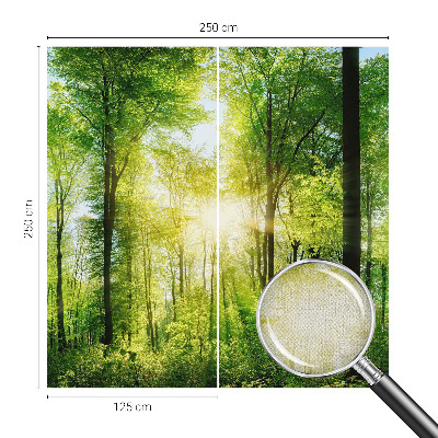 Peel and stick wall mural for kids' room with a forest harmony design