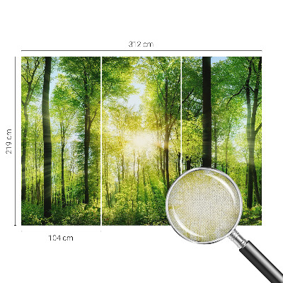 Peel and stick wall mural for kids' room Forest harmony