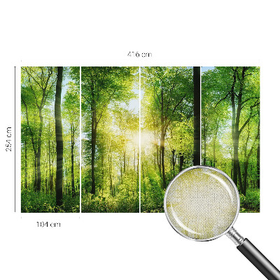 Peel and stick wall mural for kids' room Forest harmony