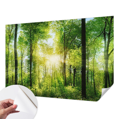 Peel and stick wall mural for kids' room with a forest harmony design