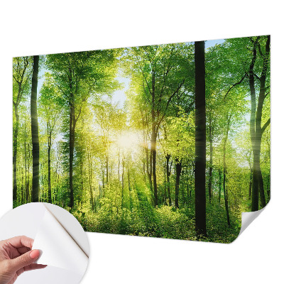Peel and stick wall mural for kids' room Forest harmony
