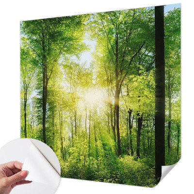 Peel and stick wall mural for kids' room Forest harmony