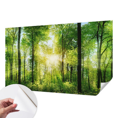 Peel and stick wall mural for kids' room Forest harmony