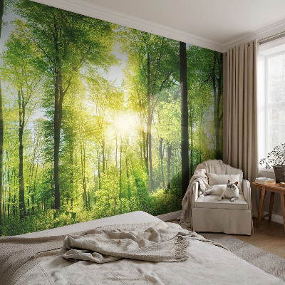 Peel and stick wall mural for kids' room Forest harmony
