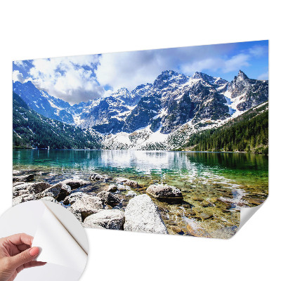 3D wall mural with a mountain landscape design