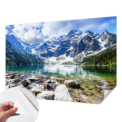 3D wall mural with a mountain landscape design