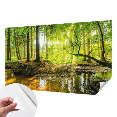 Children's wall mural with a green landscape design