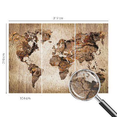 Peel and stick wall mural Wooden map