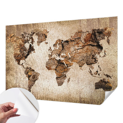 Peel and stick wall mural with a wooden map design