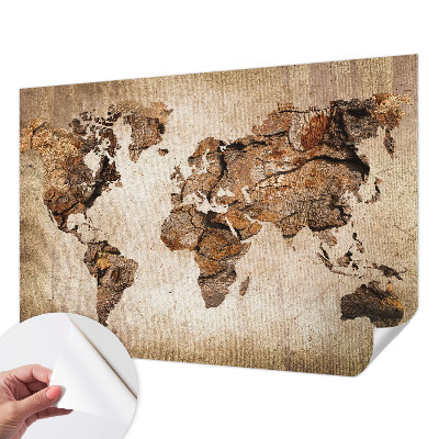 Peel and stick wall mural with a wooden map design