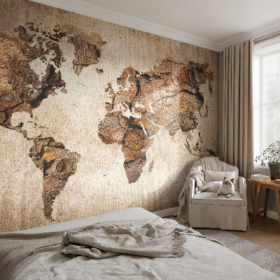 Peel and stick wall mural Wooden map