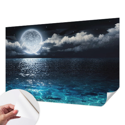 Removable wall mural wallpaper featuring a night sea design