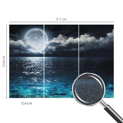 Removable wall mural wallpaper featuring a night sea design