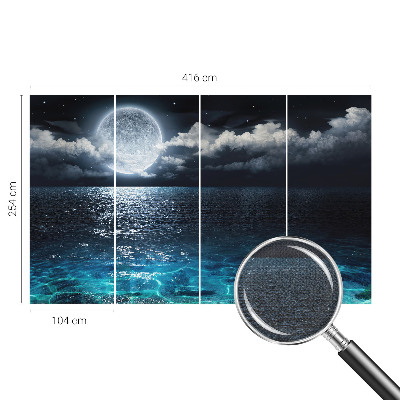 Removable wall mural wallpaper featuring a night sea design