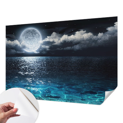 Removable wall mural wallpaper featuring a night sea design