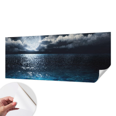 Removable wall mural wallpaper featuring a night sea design