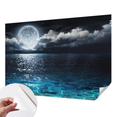 Removable wall mural wallpaper featuring a night sea design