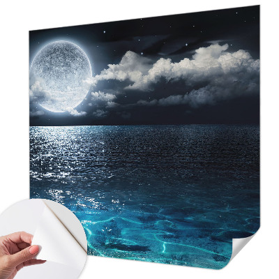Removable wall mural wallpaper featuring a night sea design
