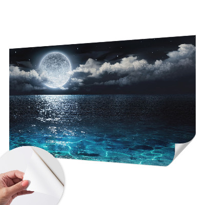 Removable wall mural wallpaper featuring a night sea design