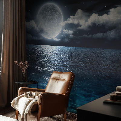 Removable wall mural wallpaper featuring a night sea design