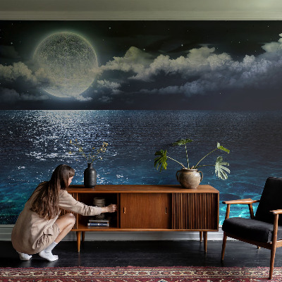 Removable wall mural wallpaper featuring a night sea design