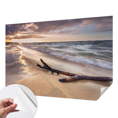 Peel and stick wall mural for kids' room with a West Beach design
