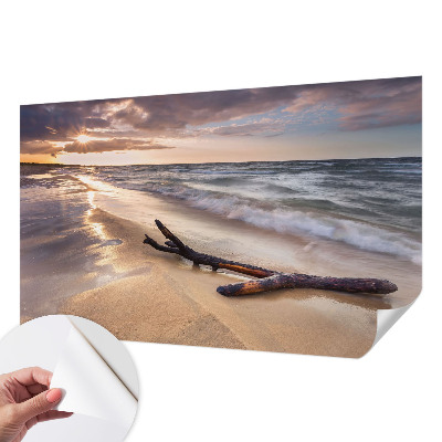 Peel and stick wall mural for kids' room with a West Beach design