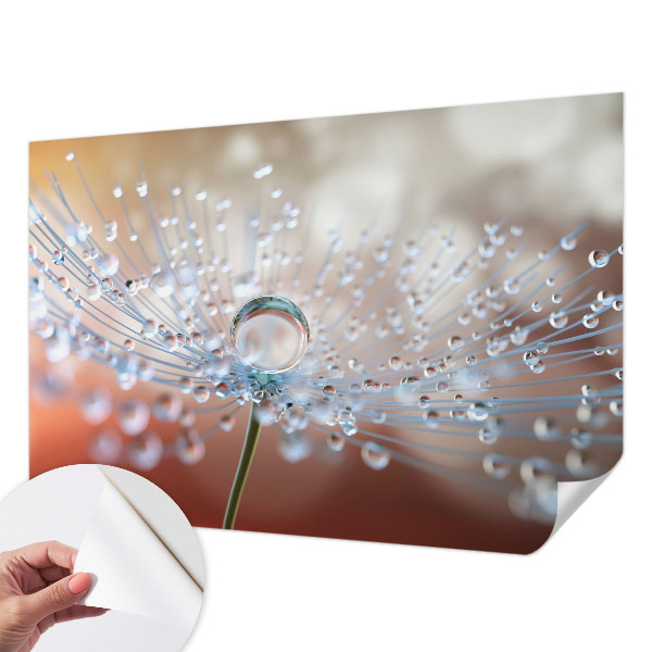 3D wall mural with a close-up of a dandelion seed with a water droplet
