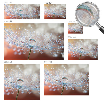 3D wall mural with a close-up of a dandelion seed with a water droplet