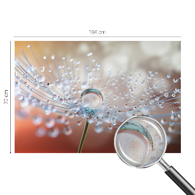 3D wall mural with a close-up of a dandelion seed with a water droplet