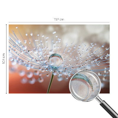 3D wall mural with a close-up of a dandelion seed with a water droplet